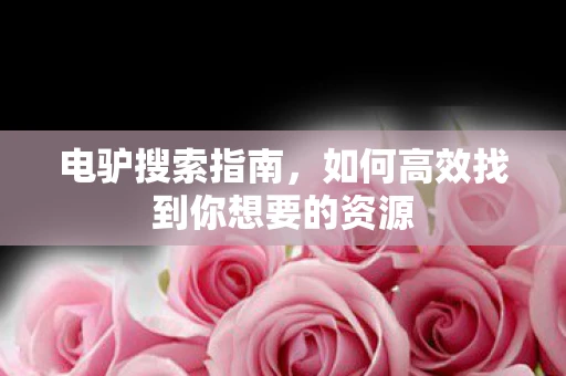 电驴搜索指南，如何高效找到你想要的资源