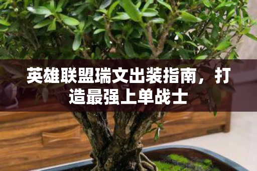 英雄联盟瑞文出装指南，打造最强上单战士
