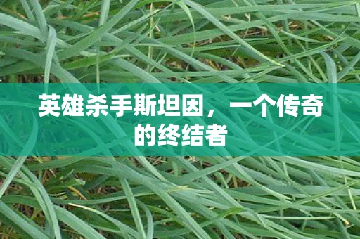 英雄杀手斯坦因,一个传奇的终结者 英雄杀手斯坦因,一个传奇的终结者