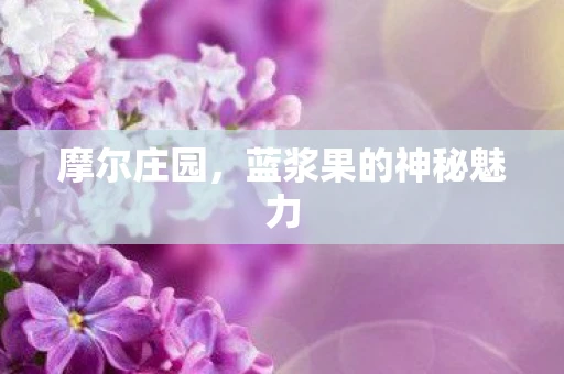 摩尔庄园，蓝浆果的神秘魅力