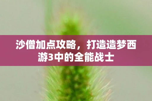 沙僧加点攻略，打造造梦西游3中的全能战士