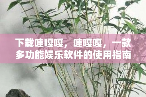 下载哇嘎嘎，哇嘎嘎，一款多功能娱乐软件的使用指南