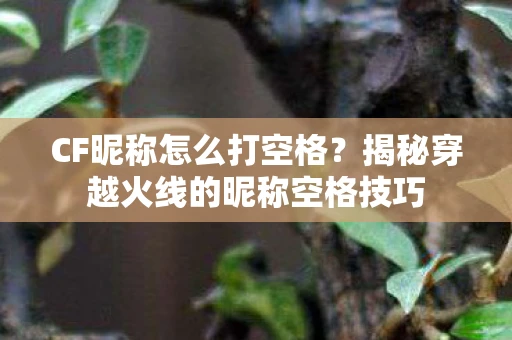 CF昵称怎么打空格？揭秘穿越火线的昵称空格技巧