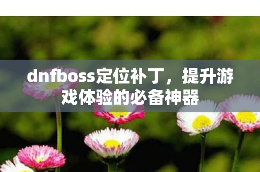 dnfboss定位补丁，提升游戏体验的必备神器