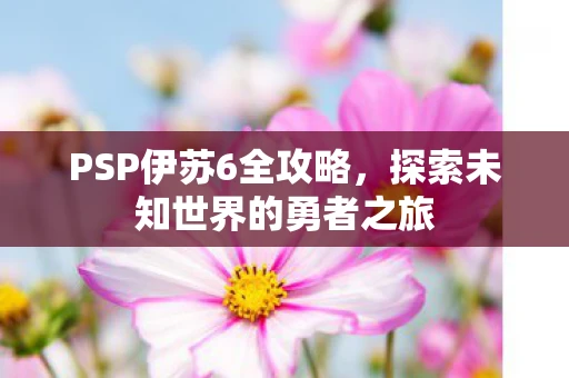 PSP伊苏6全攻略，探索未知世界的勇者之旅