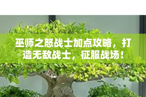 巫师之怒战士加点攻略，打造无敌战士，征服战场！