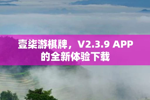 9 APP的全新体验下载图片