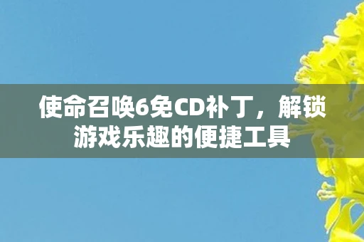 使命召唤6免CD补丁，解锁游戏乐趣的便捷工具