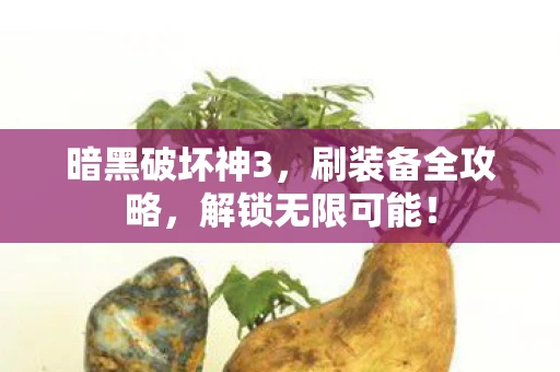 暗黑破坏神3，刷装备全攻略，解锁无限可能！