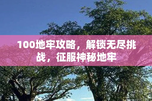 100地牢攻略，解锁无尽挑战，征服神秘地牢