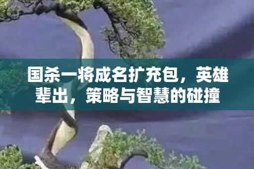 国杀一将成名扩充包，英雄辈出，策略与智慧的碰撞