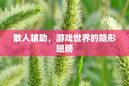 散人辅助，游戏世界的隐形翅膀