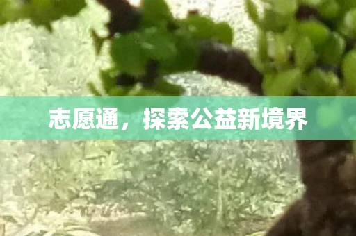 志愿通，探索公益新境界