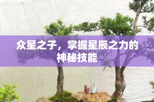 众星之子，掌握星辰之力的神秘技能