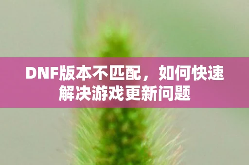 DNF版本不匹配，如何快速解决游戏更新问题
