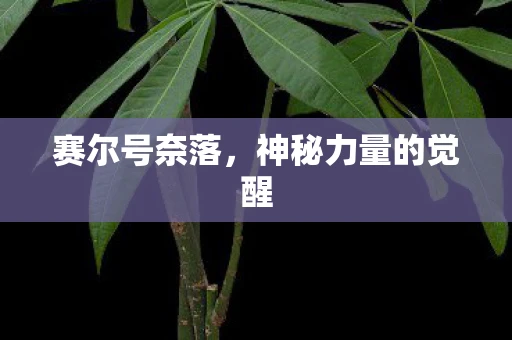 赛尔号奈落，神秘力量的觉醒