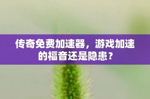 传奇免费加速器，游戏加速的福音还是隐患？