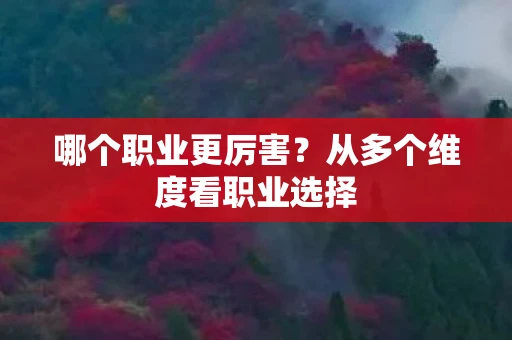 哪个职业更厉害？从多个维度看职业选择