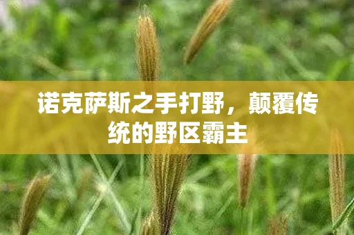 诺克萨斯之手打野，颠覆传统的野区霸主