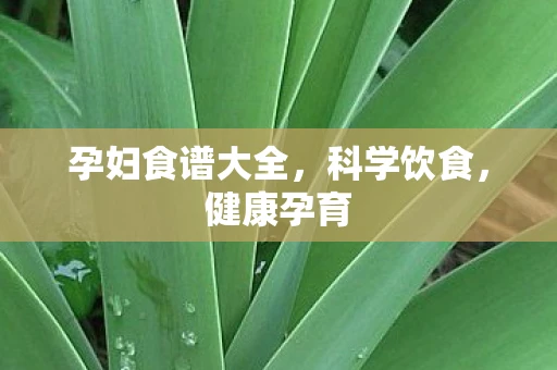 孕妇食谱大全，科学饮食，健康孕育