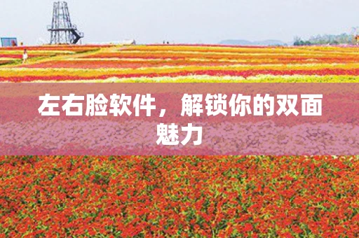左右脸软件，解锁你的双面魅力