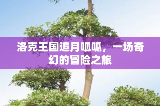 洛克王国追月呱呱，一场奇幻的冒险之旅