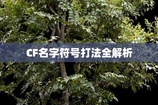 CF名字符号打法全解析