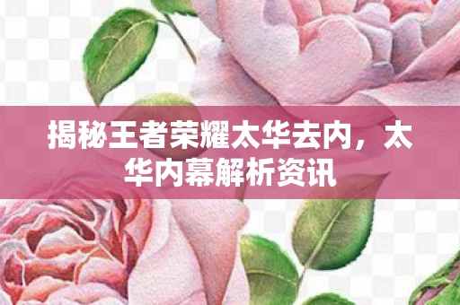 揭秘王者荣耀太华去内图片