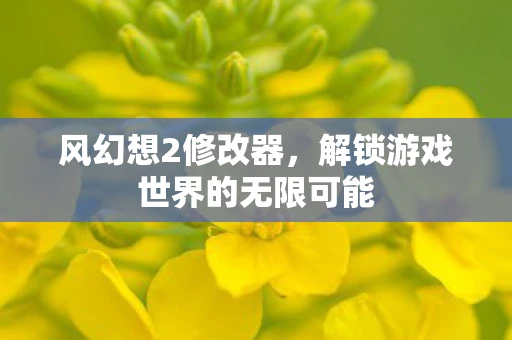 风幻想2修改器，解锁游戏世界的无限可能