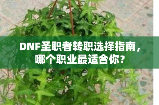 DNF圣职者转职选择指南，哪个职业最适合你？