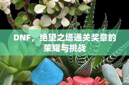 DNF，绝望之塔通关奖章的荣耀与挑战