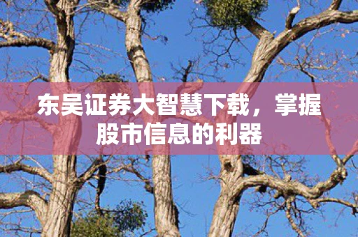 东吴证券大智慧下载，掌握股市信息的利器