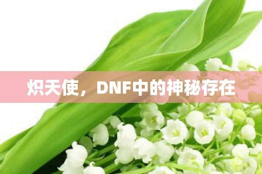 炽天使，DNF中的神秘存在