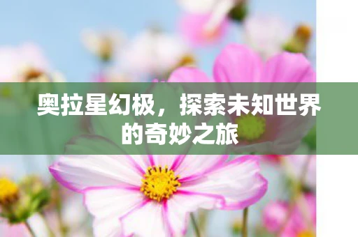 奥拉星幻极，探索未知世界的奇妙之旅