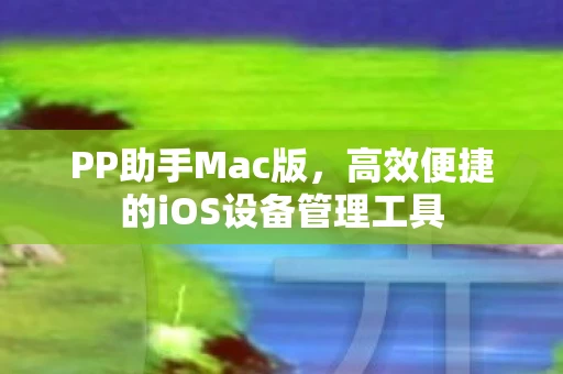 PP助手Mac版，高效便捷的iOS设备管理工具