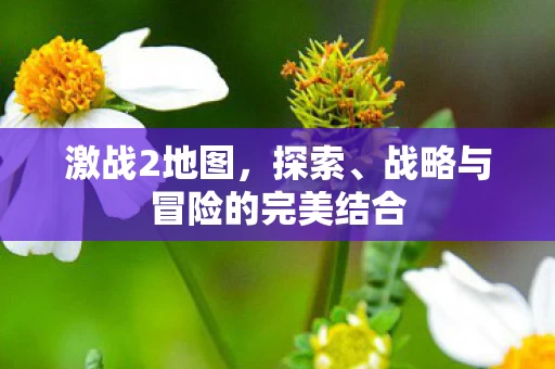 战略与冒险的完美结合图片