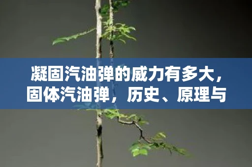 凝固汽油弹的威力有多大，固体汽油弹，历史、原理与影响