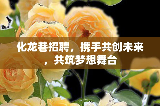 化龙巷招聘，携手共创未来，共筑梦想舞台