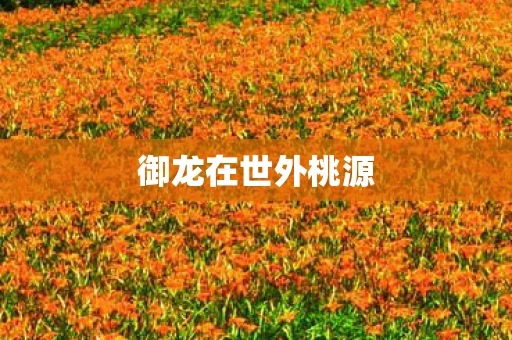 御龙在世外桃源