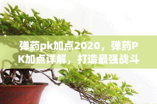 弹药pk加点2020，弹药PK加点详解，打造最强战斗力的关键