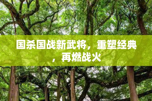 国杀国战新武将，重塑经典，再燃战火