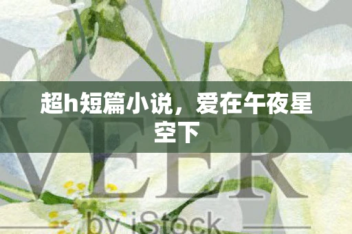 超h短篇小说，爱在午夜星空下