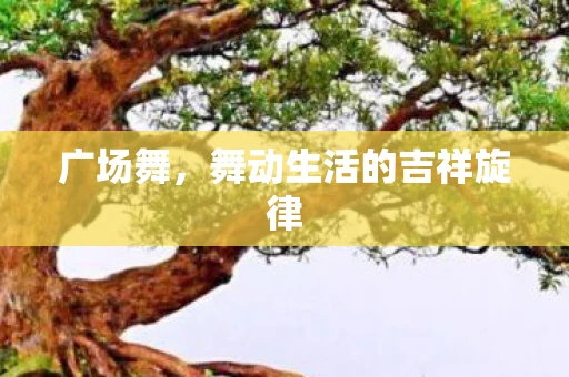 广场舞，舞动生活的吉祥旋律