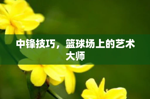 中锋技巧，篮球场上的艺术大师