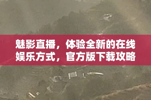 体验全新的在线娱乐方式图片
