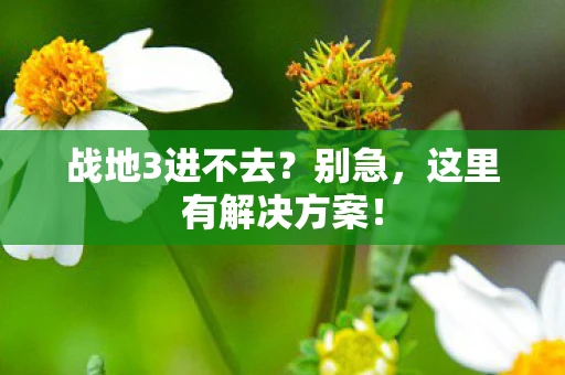 战地3进不去？别急，这里有解决方案！