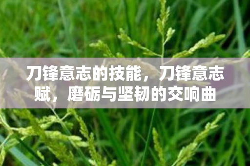 刀锋意志的技能，刀锋意志赋，磨砺与坚韧的交响曲