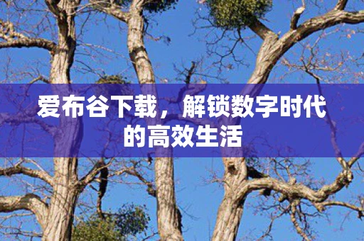 爱布谷下载，解锁数字时代的高效生活