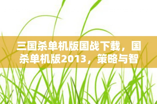 三国杀单机版国战下载，国杀单机版2013，策略与智慧的单机盛宴