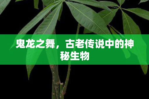 鬼龙之舞，古老传说中的神秘生物